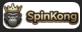 Logo Spinkong